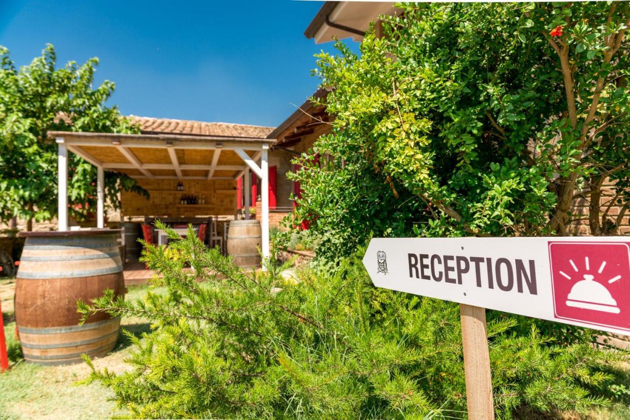 Montepescali Il Barbagianni Bed & Breakfast エクステリア 写真