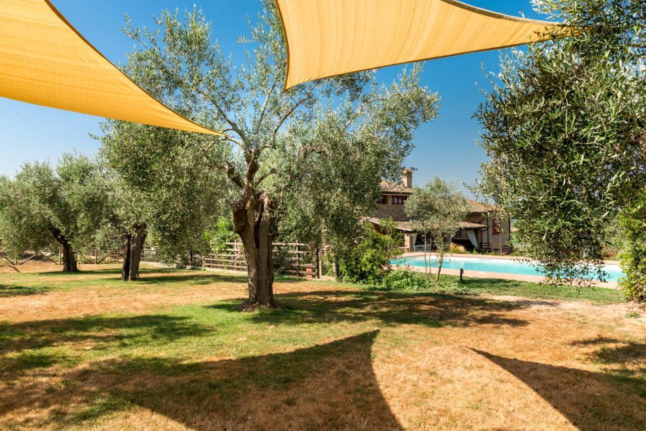 Montepescali Il Barbagianni Bed & Breakfast エクステリア 写真